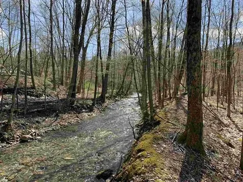 773 Shaftsbury Hollow Road Shaftsbury VT 05262
