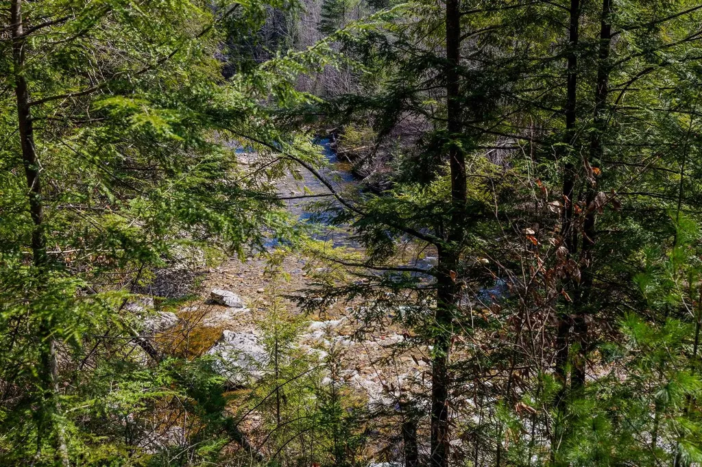 553 Roaring Branch Road Arlington VT 05250