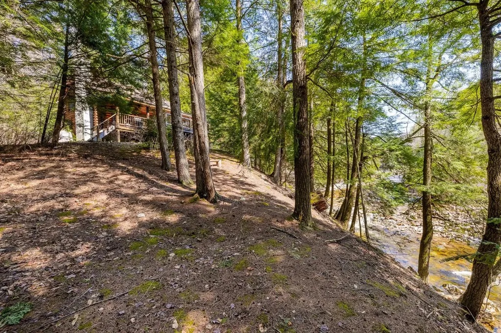 553 Roaring Branch Road Arlington VT 05250