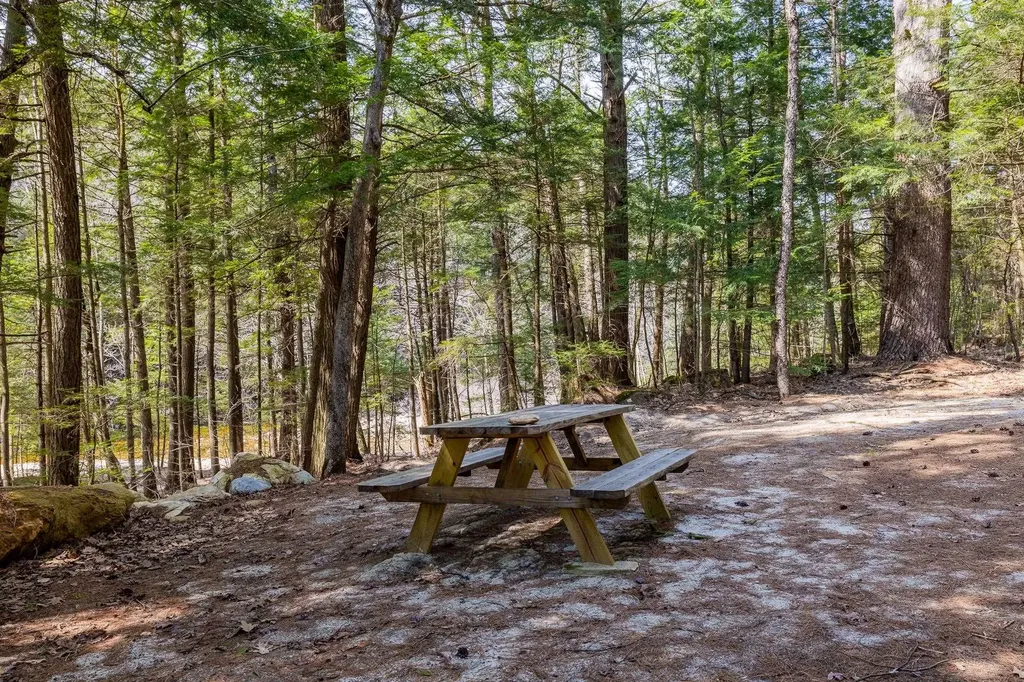 553 Roaring Branch Road Arlington VT 05250