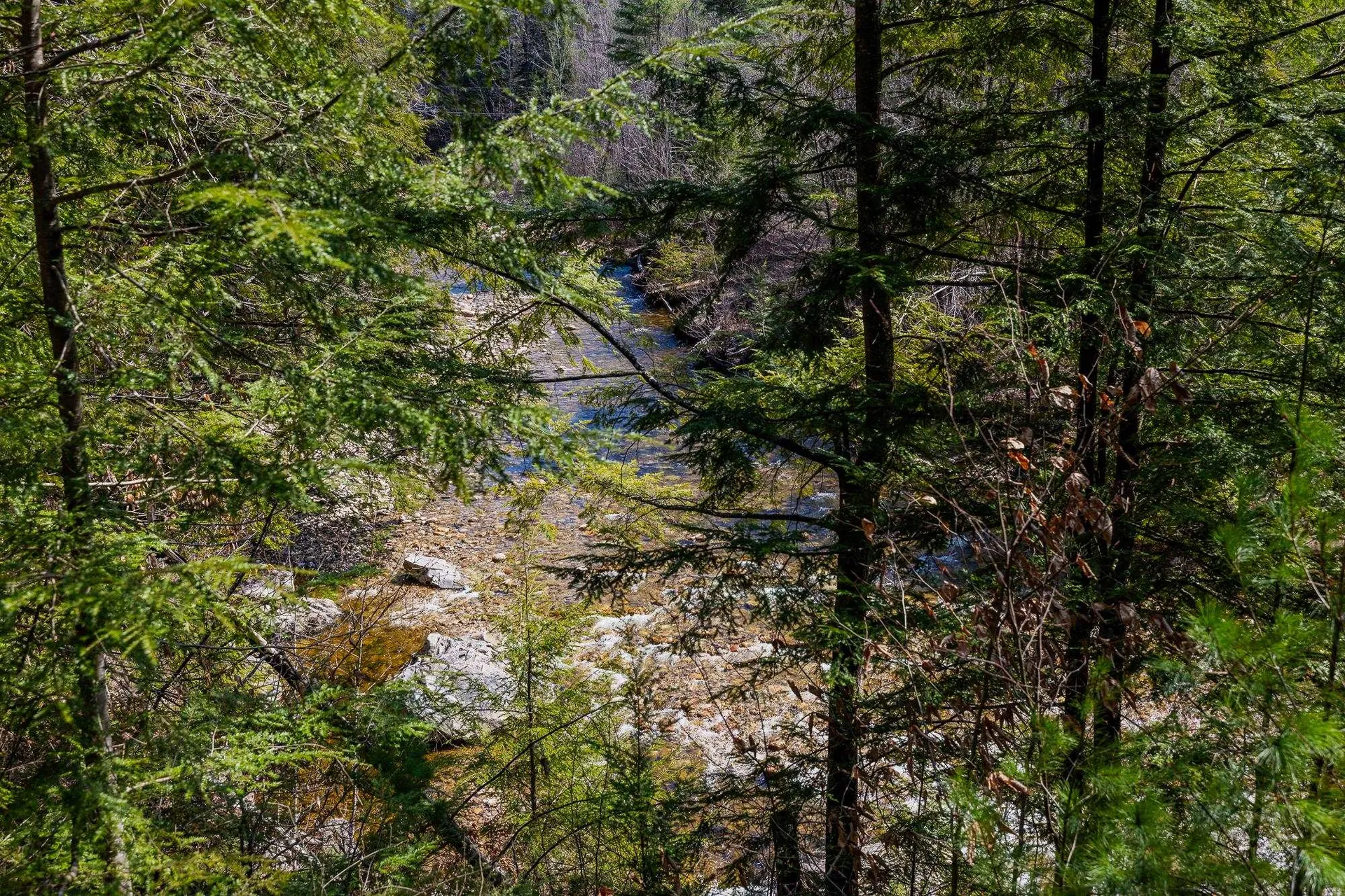 553 Roaring Branch Road Arlington VT 05250