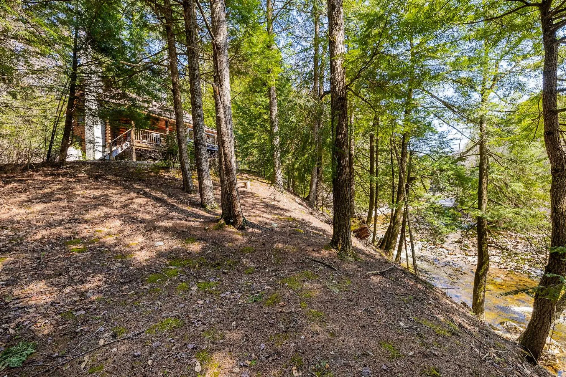 553 Roaring Branch Road Arlington VT 05250