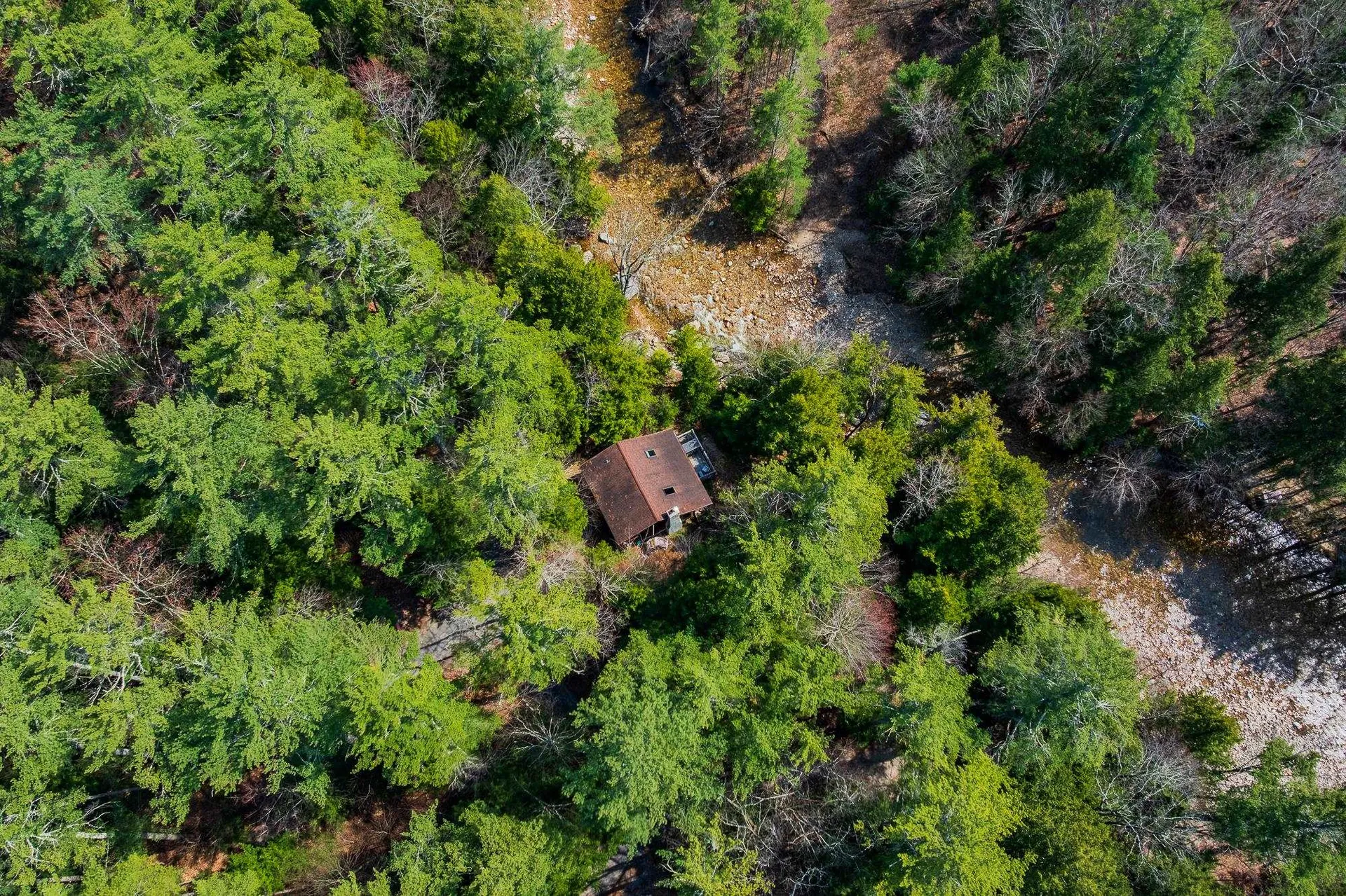 553 Roaring Branch Road Arlington VT 05250