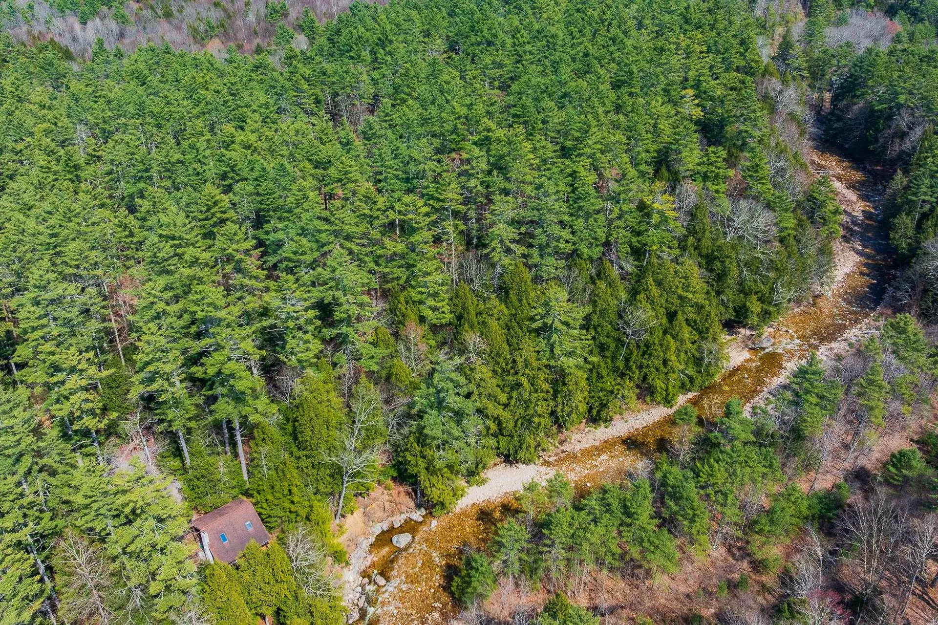 553 Roaring Branch Road Arlington VT 05250