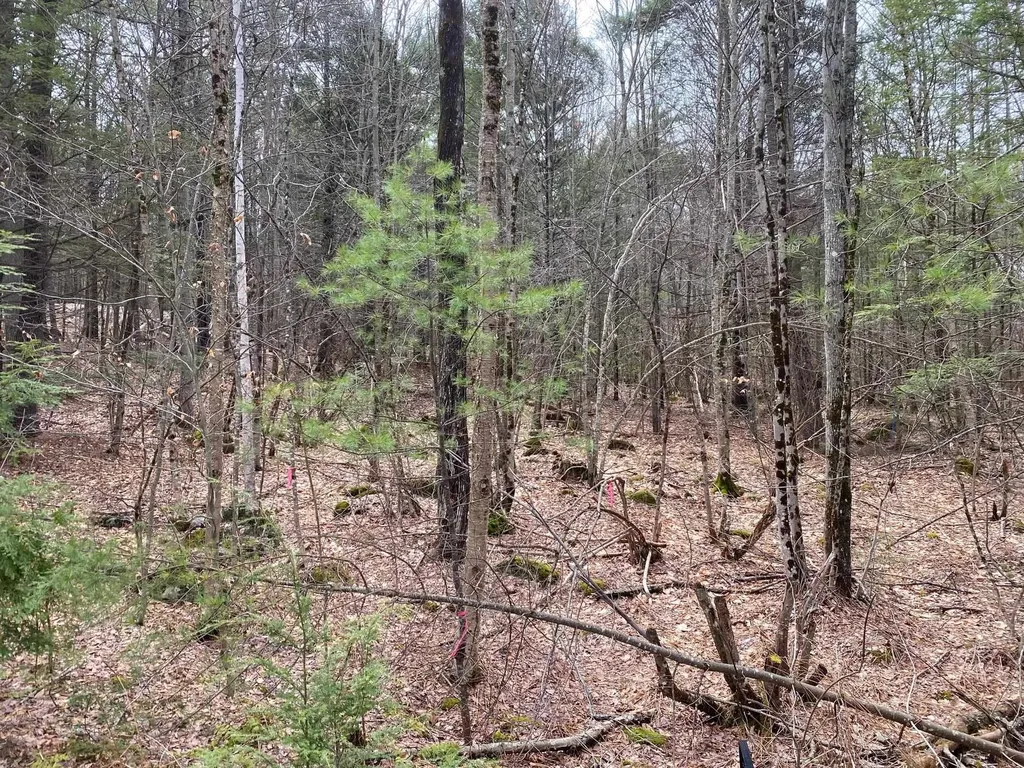 00 Winnipesaukee Drive Wolfeboro NH 03894