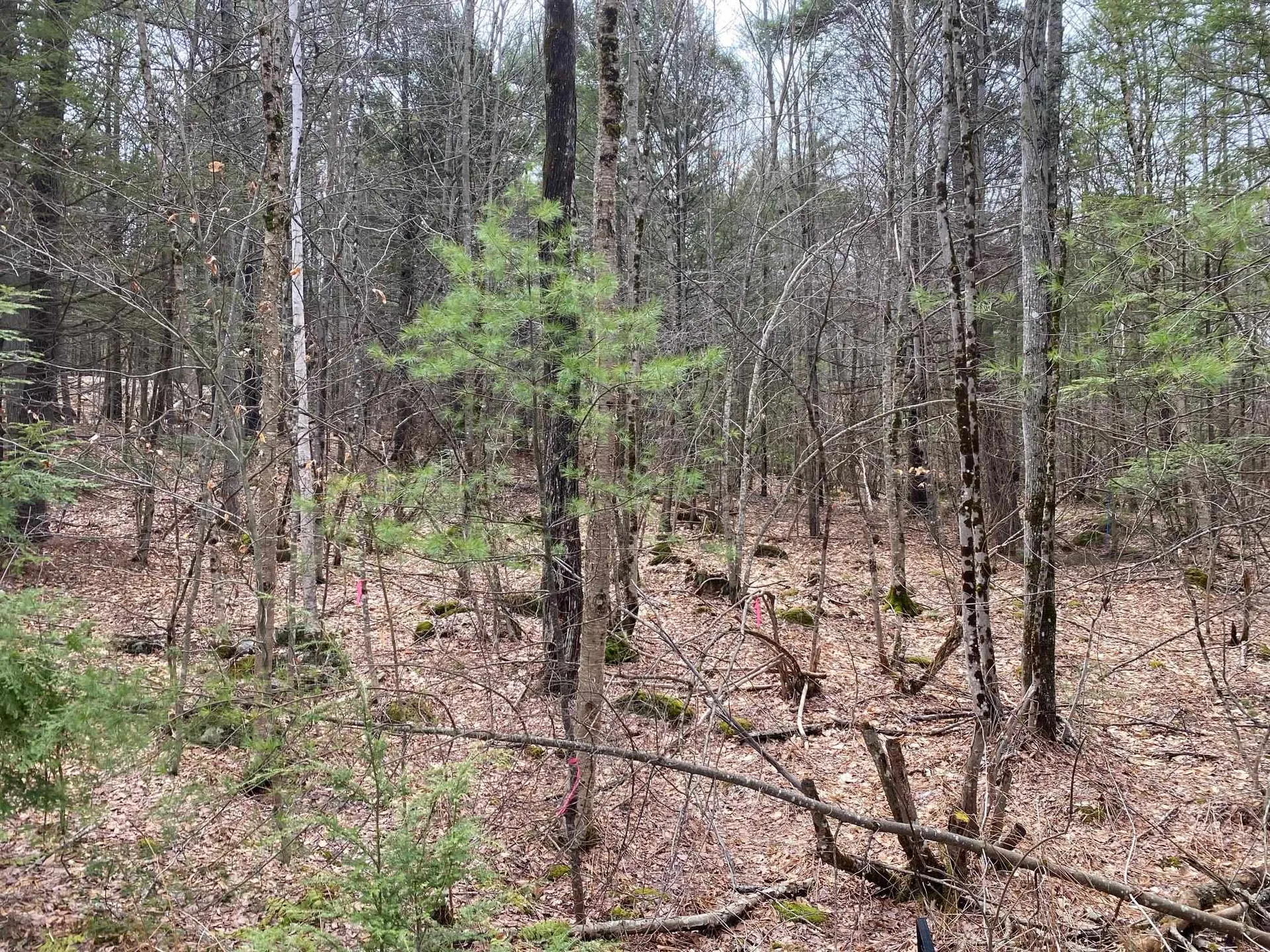 00 Winnipesaukee Drive Wolfeboro NH 03894