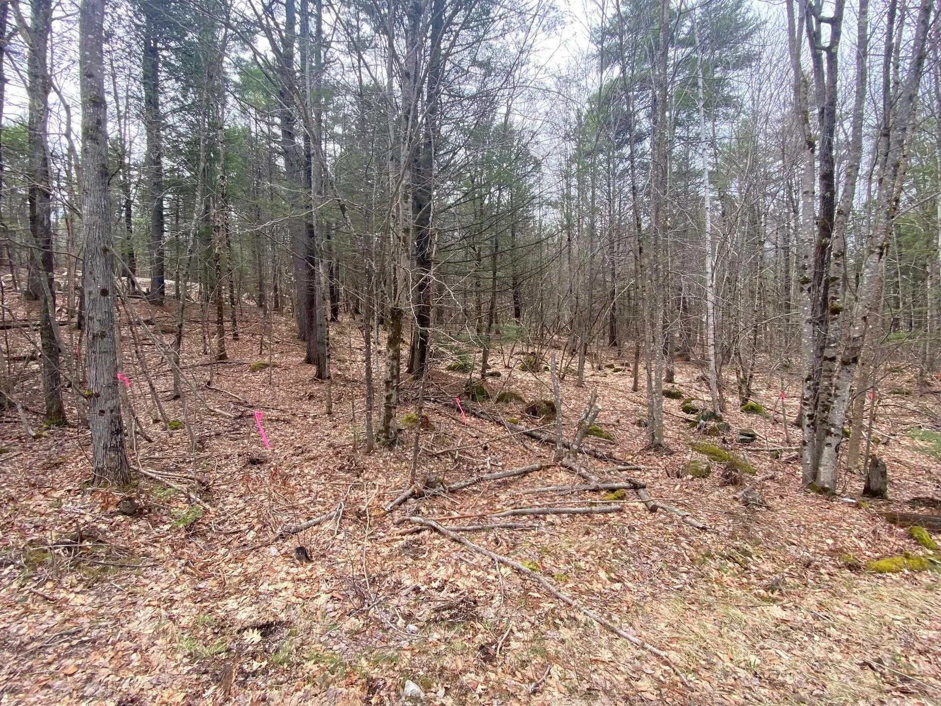 00 Winnipesaukee Drive Wolfeboro NH 03894