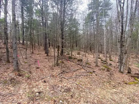 00 Winnipesaukee Drive Wolfeboro NH 03894