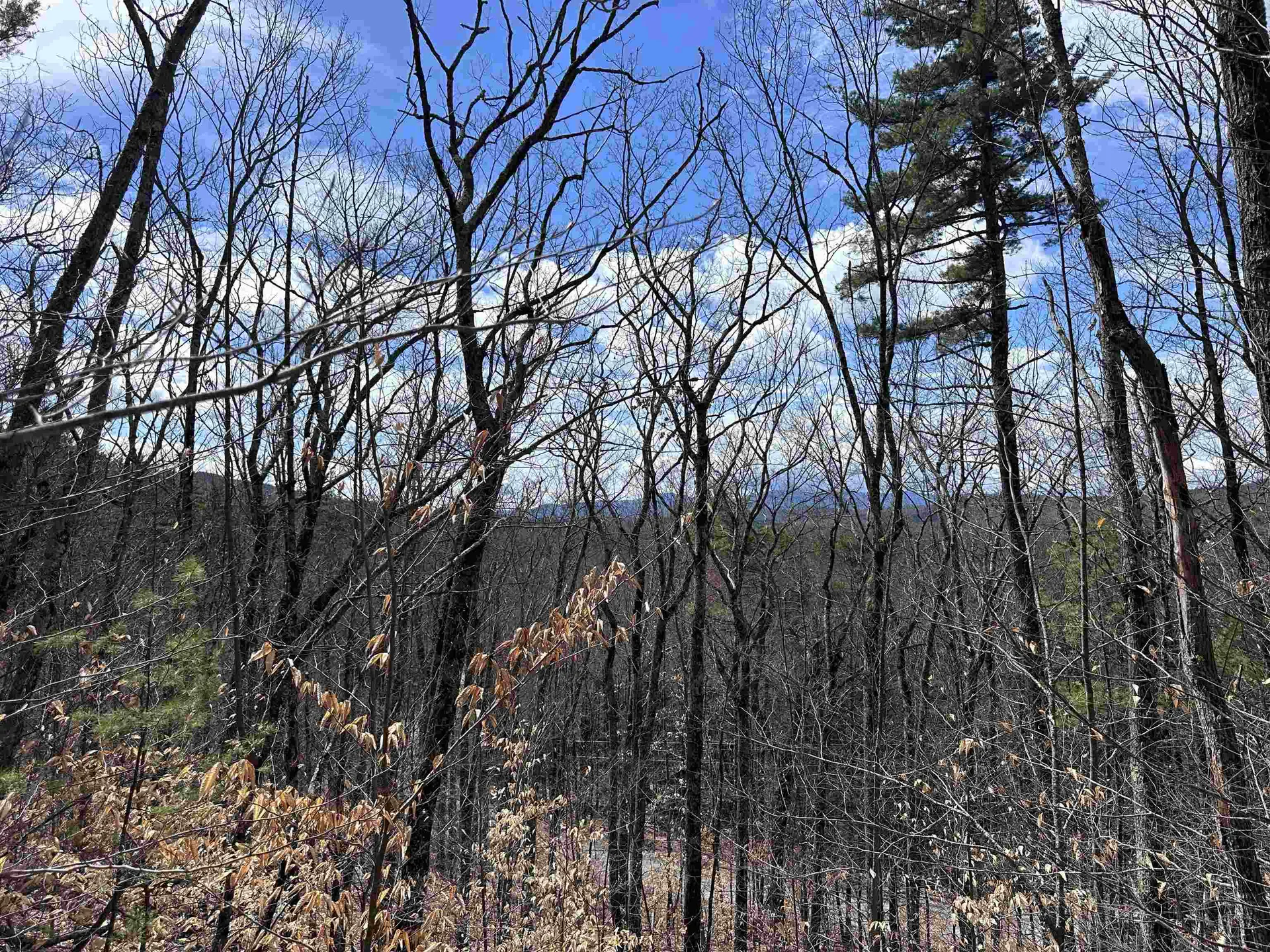19 Saint Moritz Drive Madison NH 03849