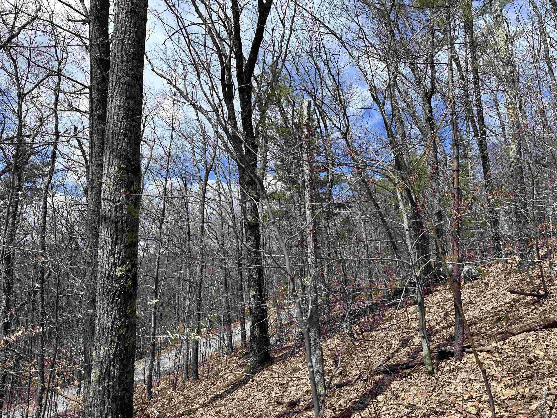 19 Saint Moritz Drive Madison NH 03849
