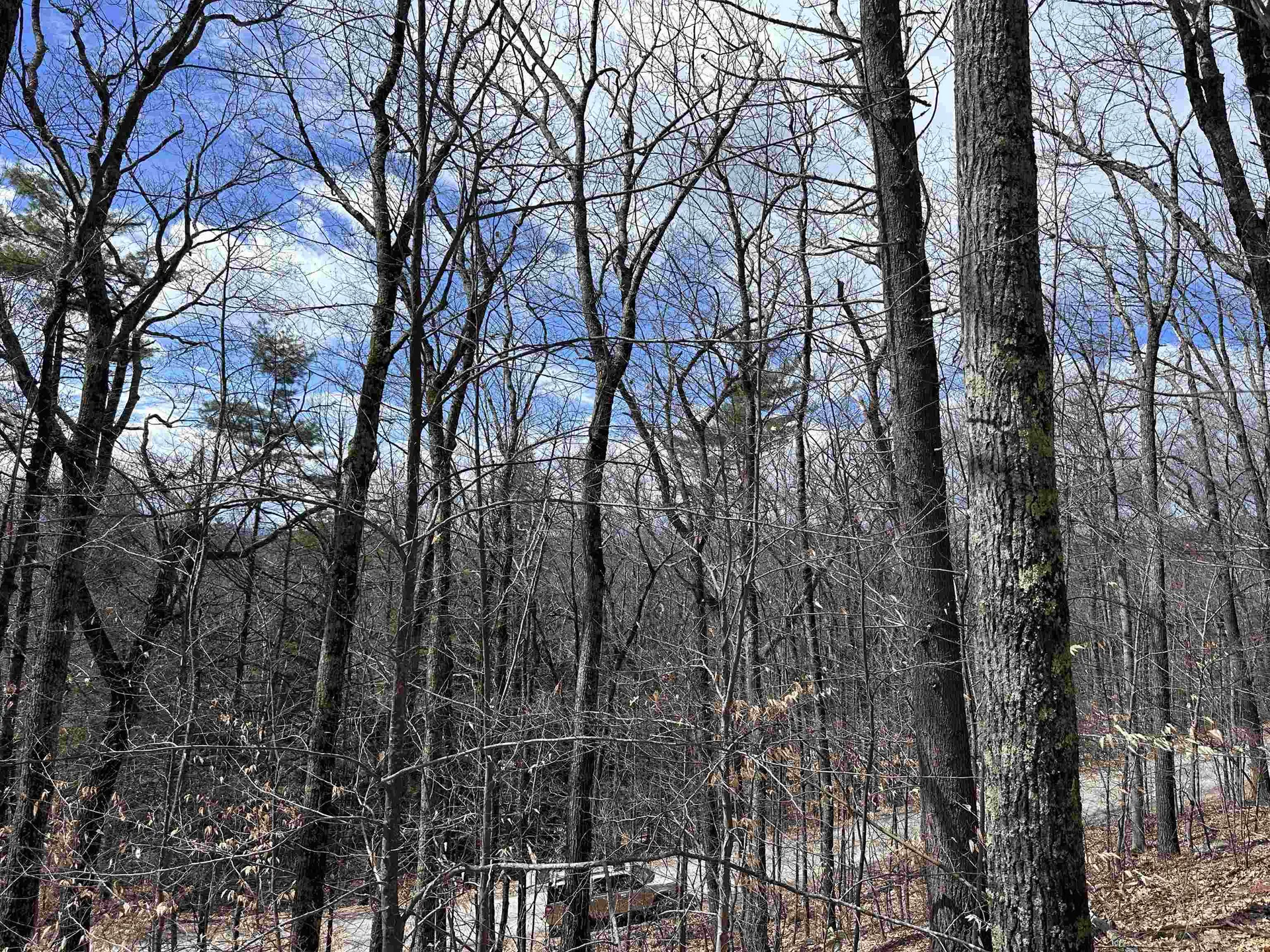 19 Saint Moritz Drive Madison NH 03849