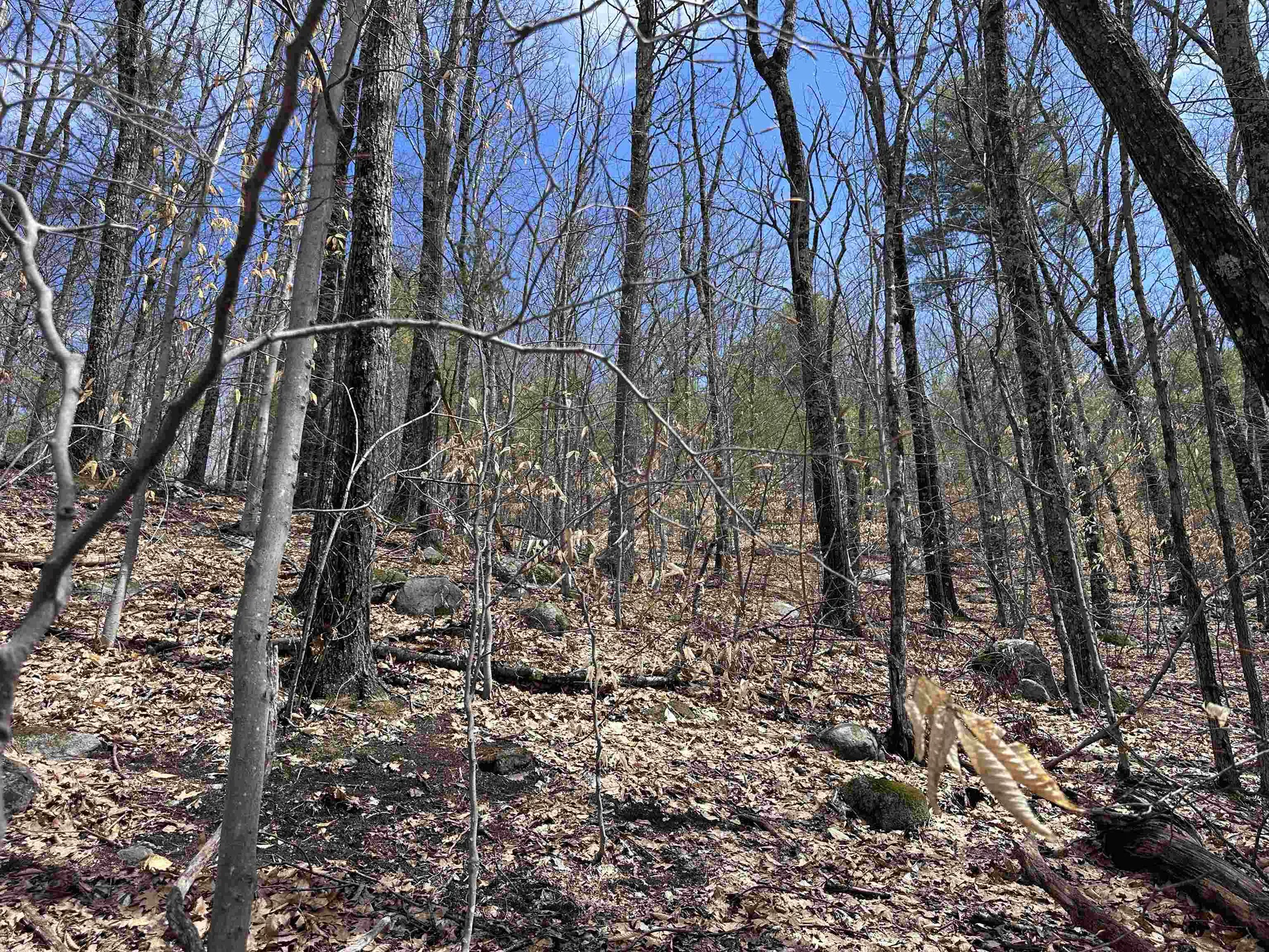 19 Saint Moritz Drive Madison NH 03849