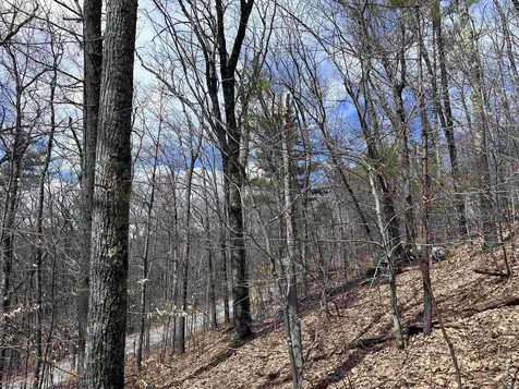 19 Saint Moritz Drive Madison NH 03849