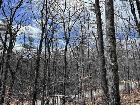 19 Saint Moritz Drive Madison NH 03849
