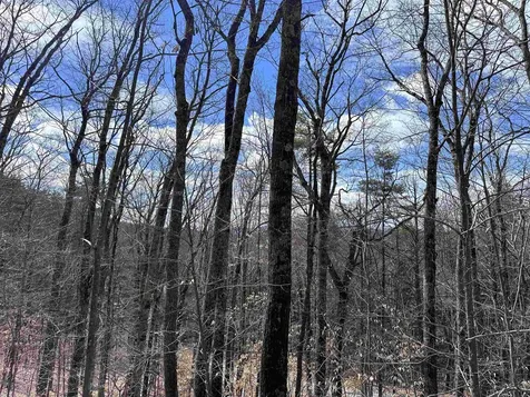 19 Saint Moritz Drive Madison NH 03849