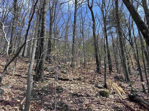 19 Saint Moritz Drive Madison NH 03849