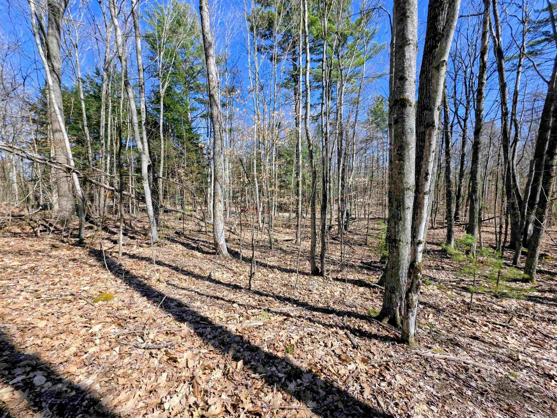 0000 Wildcat Drive Haverhill NH 03765