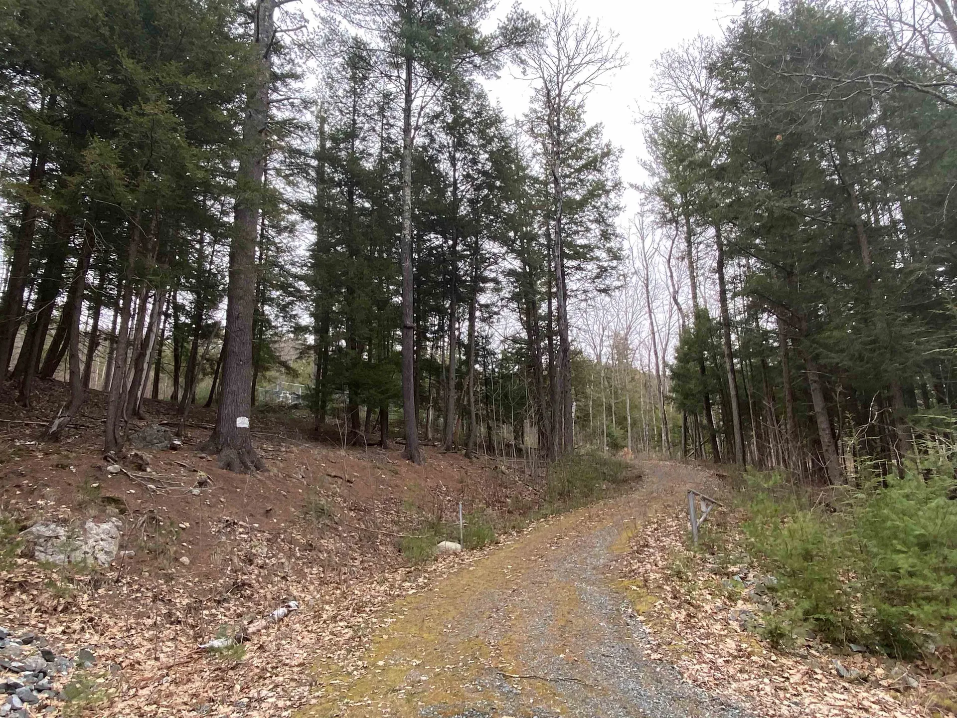 106 Mastin Road Sutton NH 03260