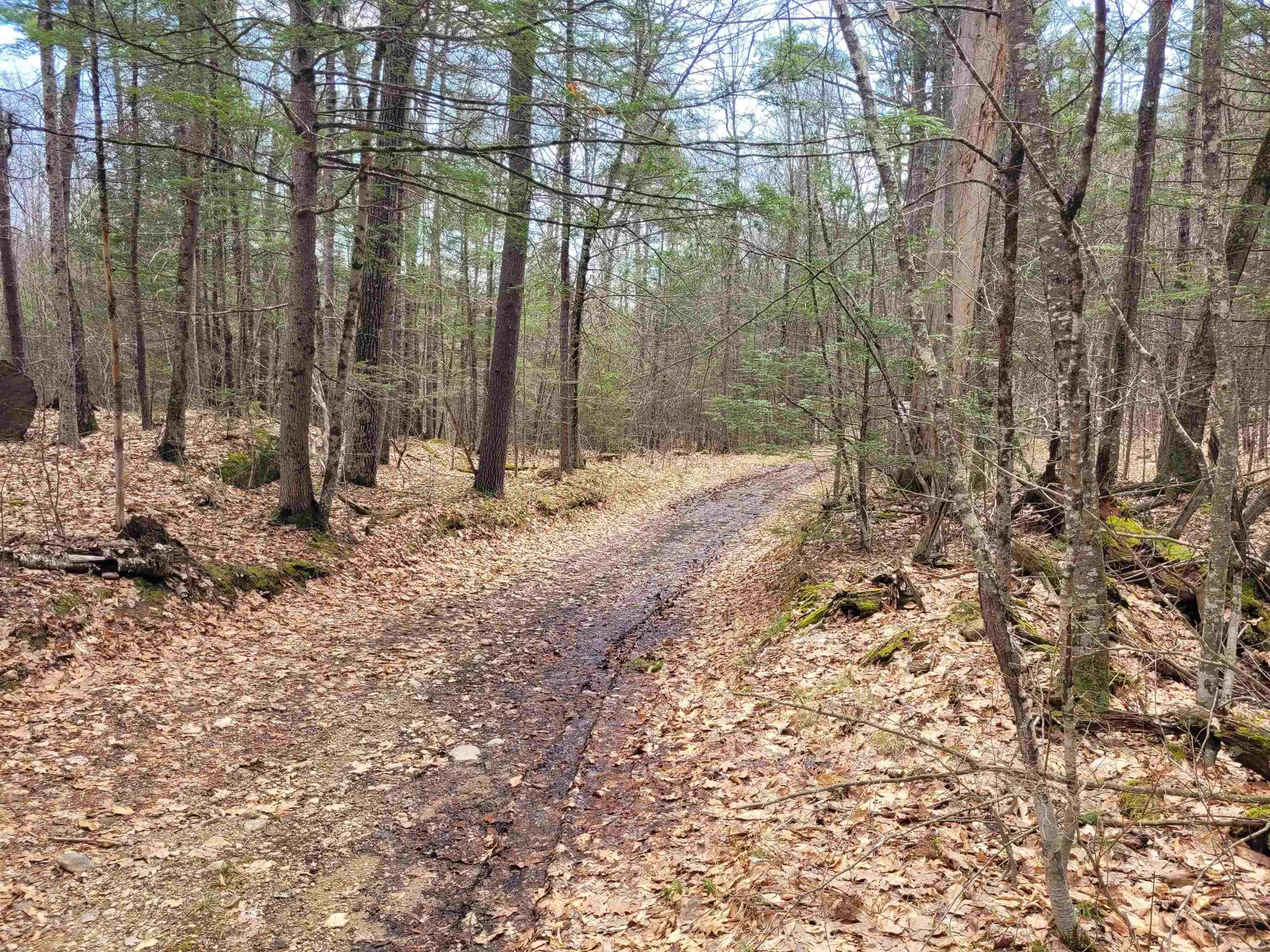 0 Tipping Rock Road Winchester NH 03470