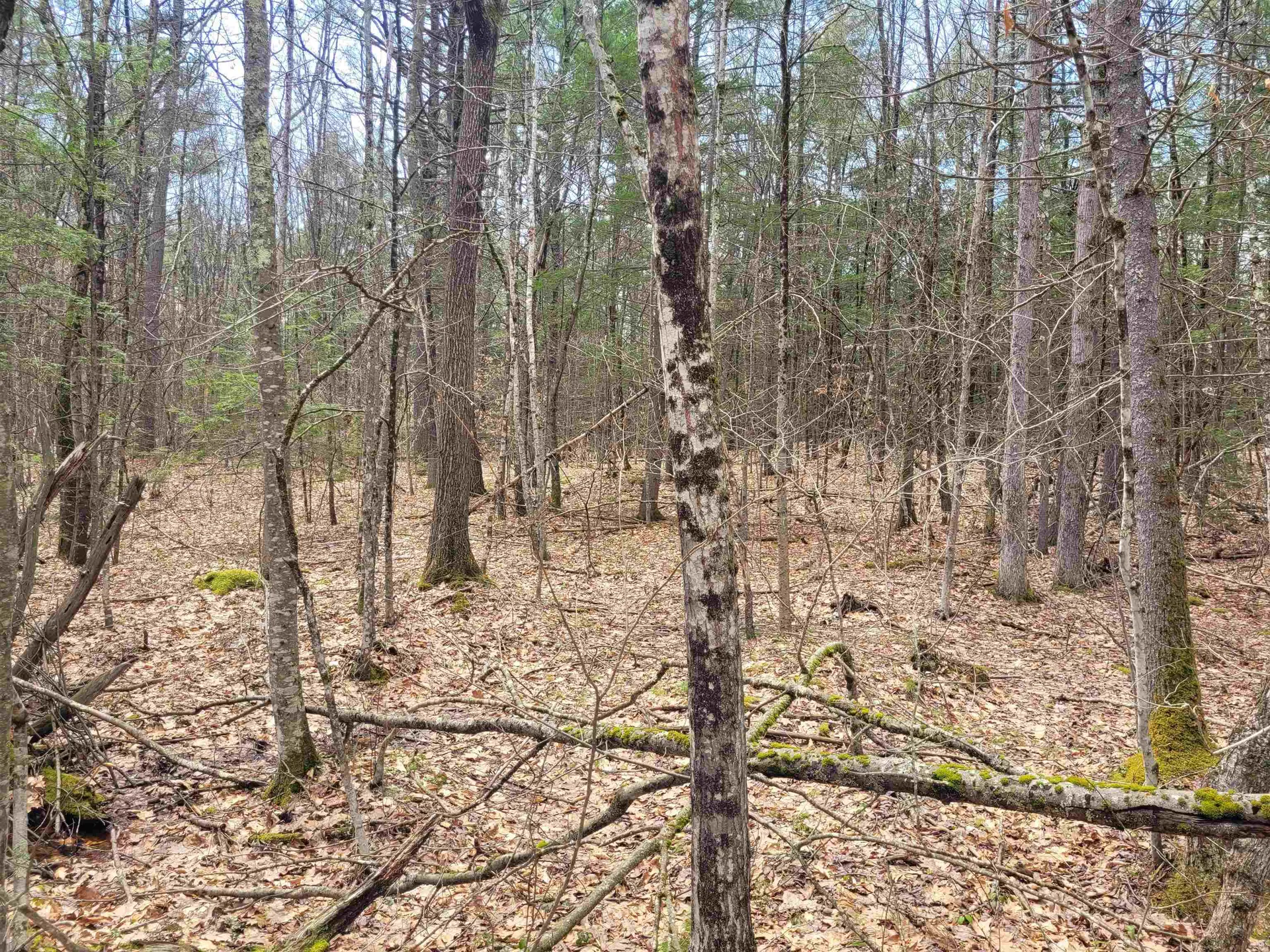 0 Tipping Rock Road Winchester NH 03470
