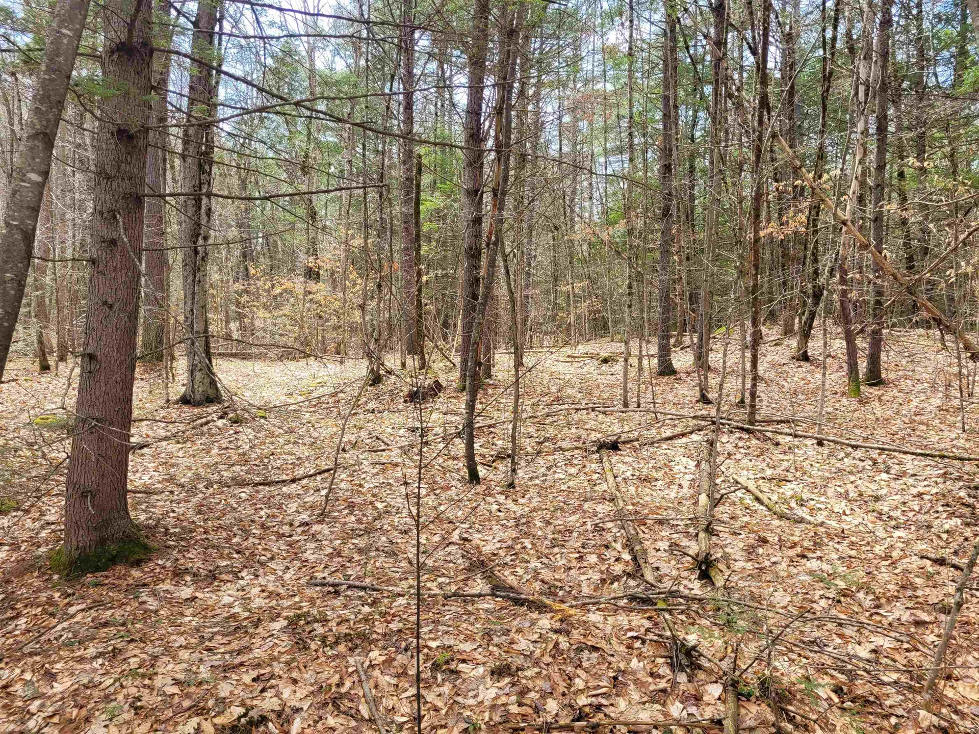 0 Tipping Rock Road Winchester NH 03470