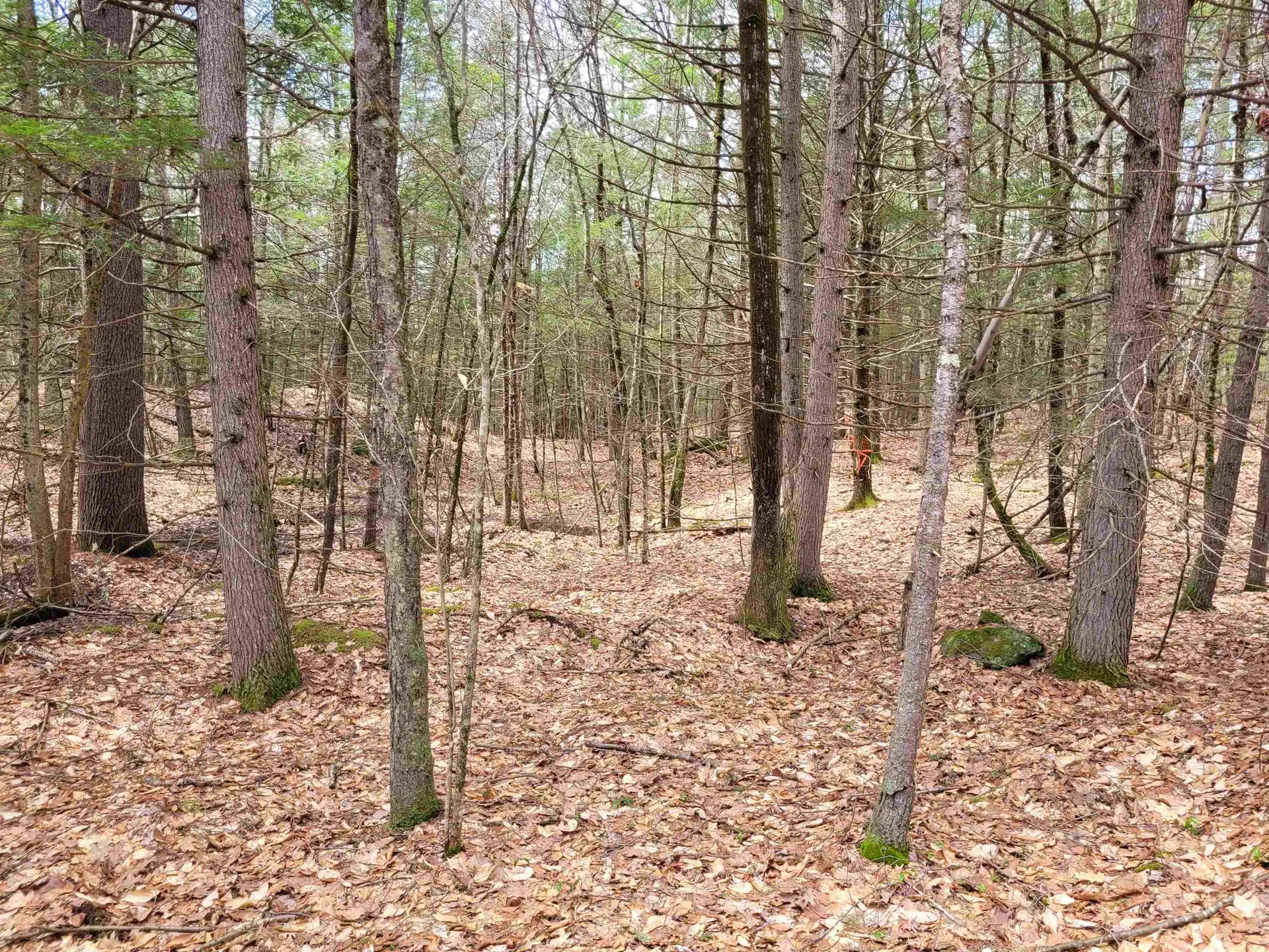 0 Tipping Rock Road Winchester NH 03470