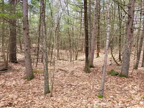 0 Tipping Rock Road Winchester NH 03470