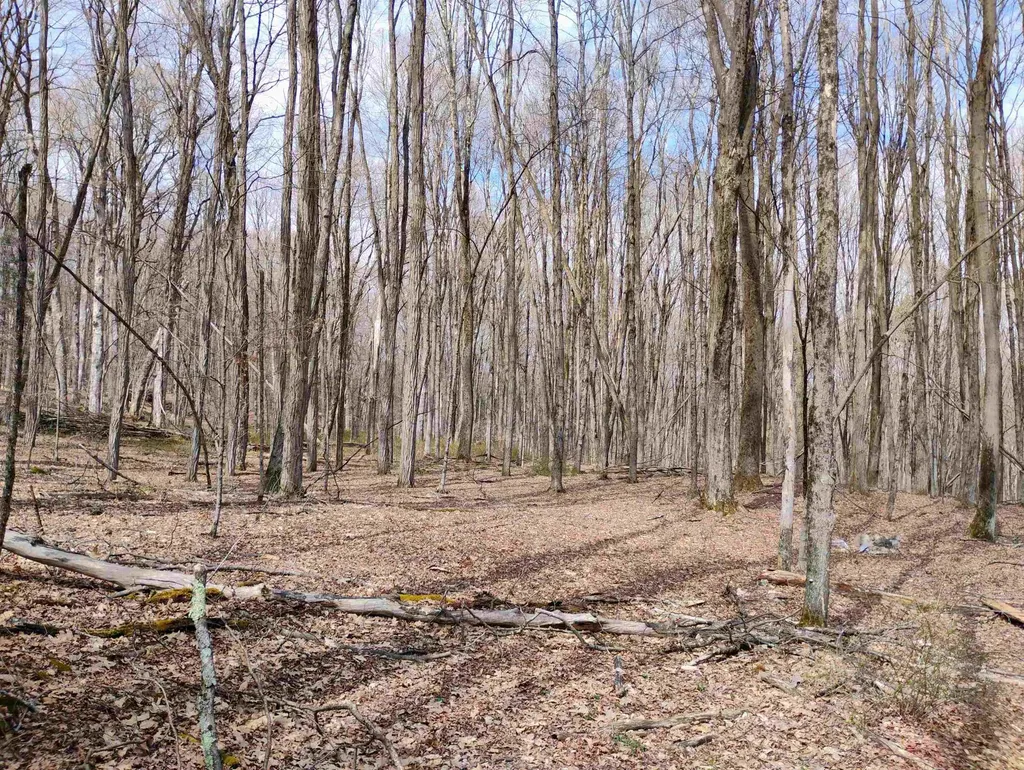 Lot 1 Faraway (Jones) Road Putney VT 05346