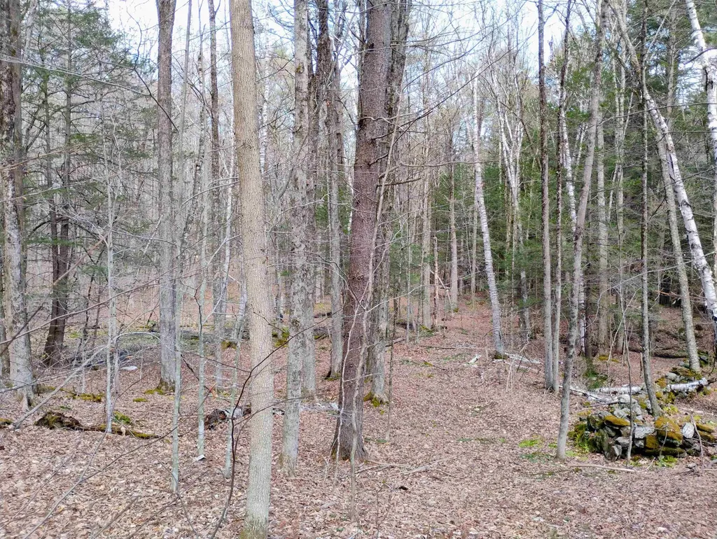 Lot 1 Faraway (Jones) Road Putney VT 05346