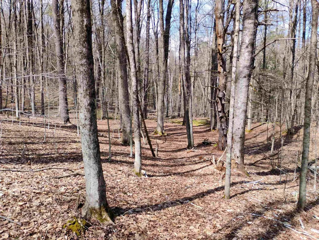 Lot 1 Faraway (Jones) Road Putney VT 05346