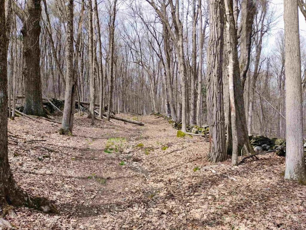 Lot 1 Faraway (Jones) Road Putney VT 05346