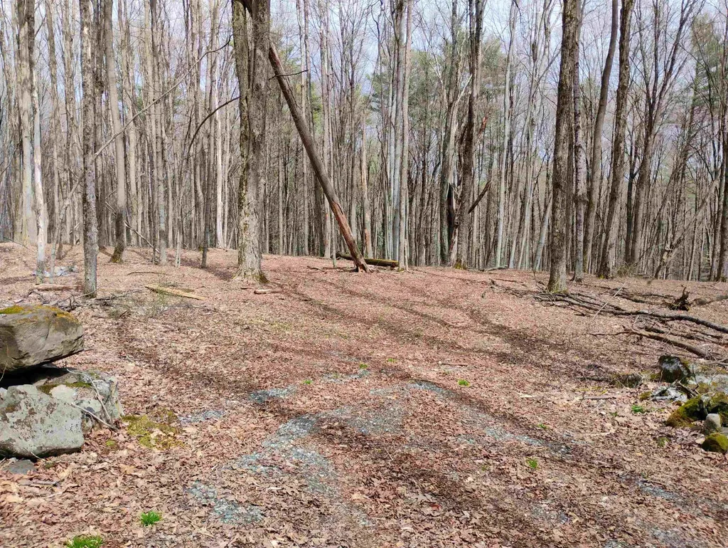 Lot 1 Faraway (Jones) Road Putney VT 05346