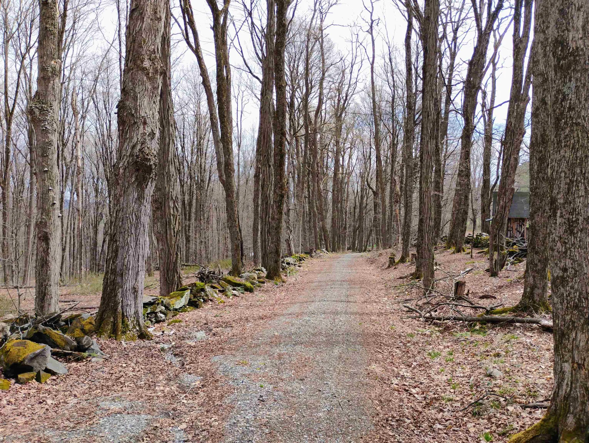Lot 1 Faraway (Jones) Road Putney VT 05346