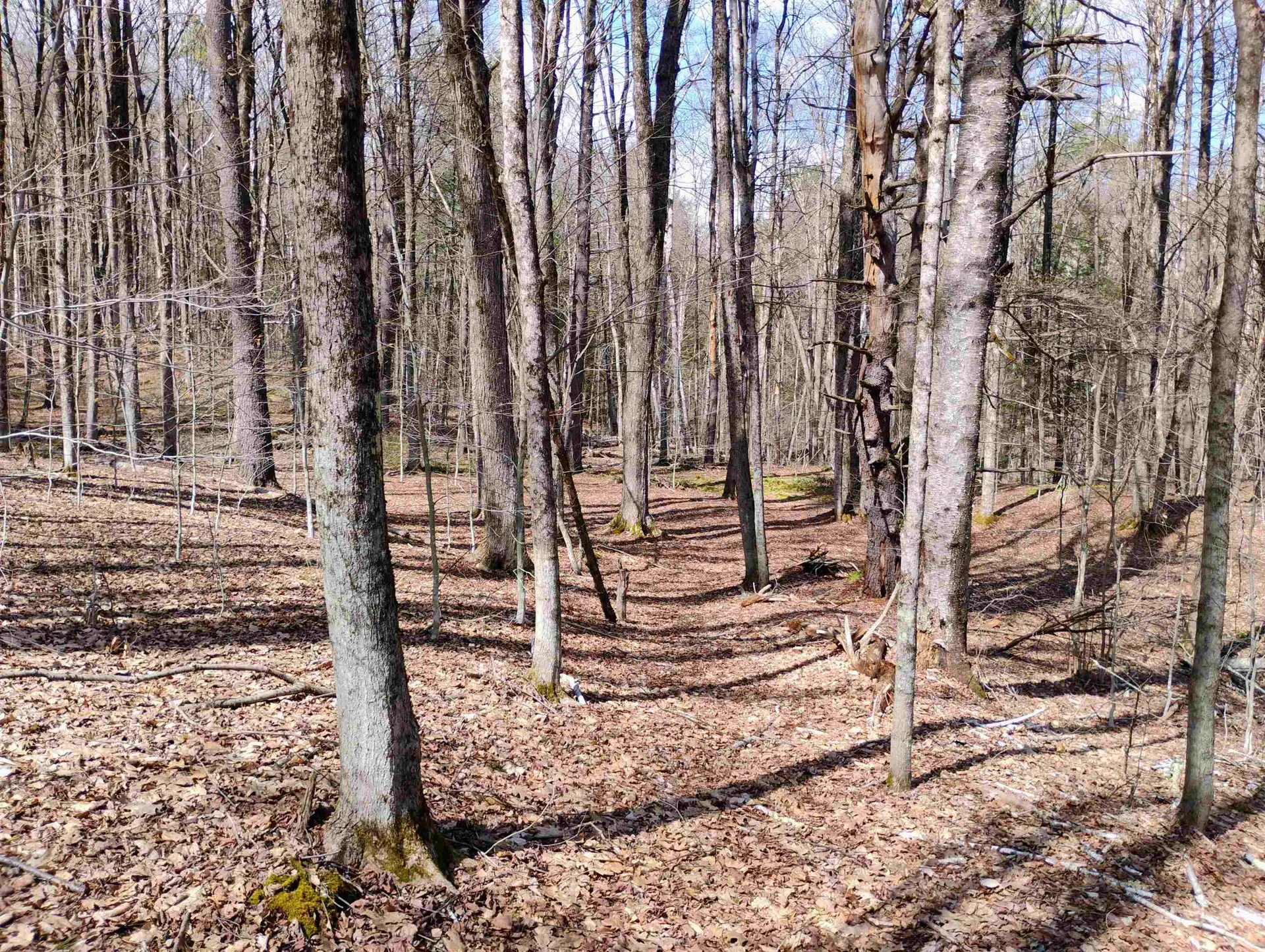 Lot 1 Faraway (Jones) Road Putney VT 05346