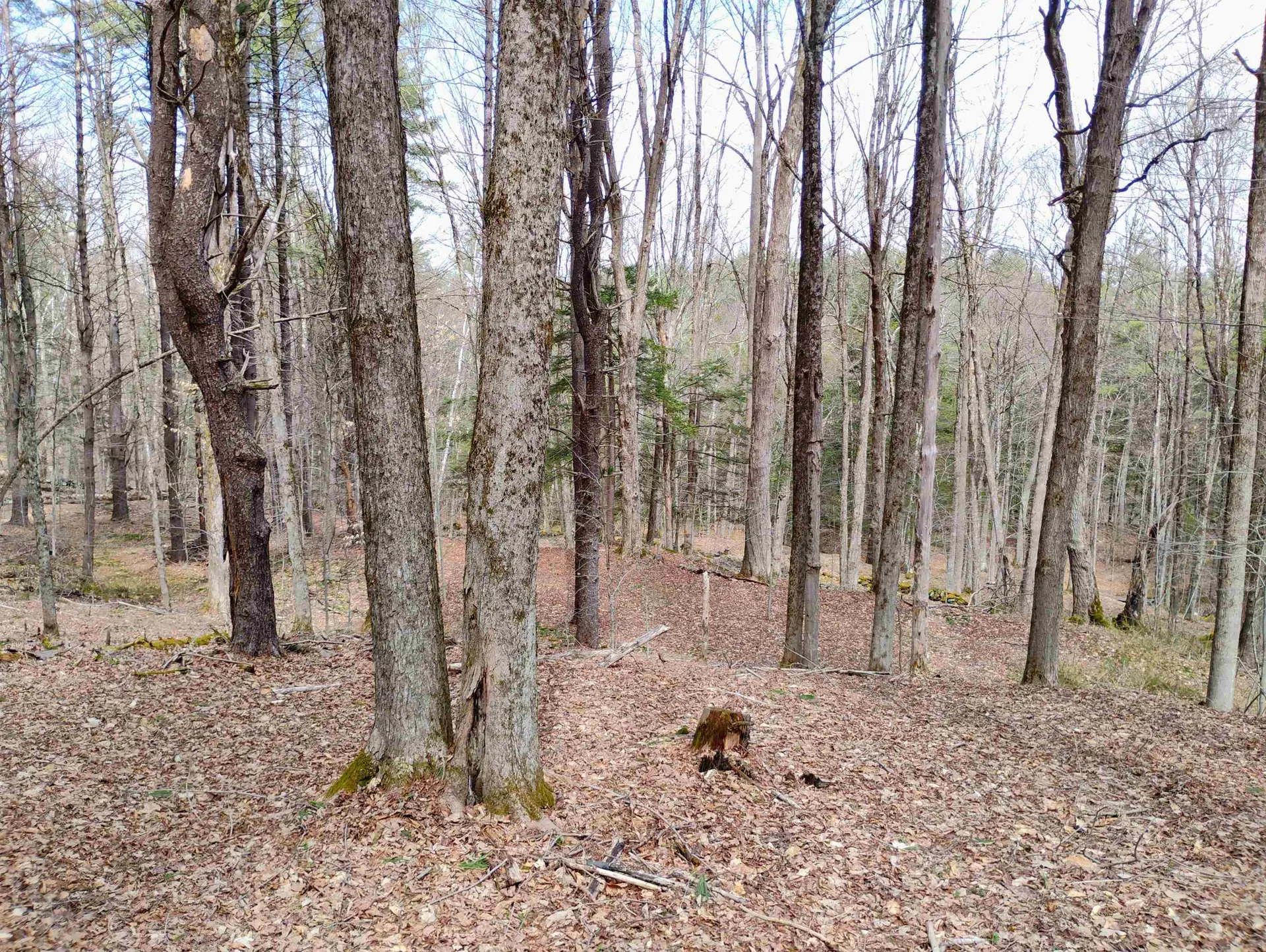 Lot 1 Faraway (Jones) Road Putney VT 05346