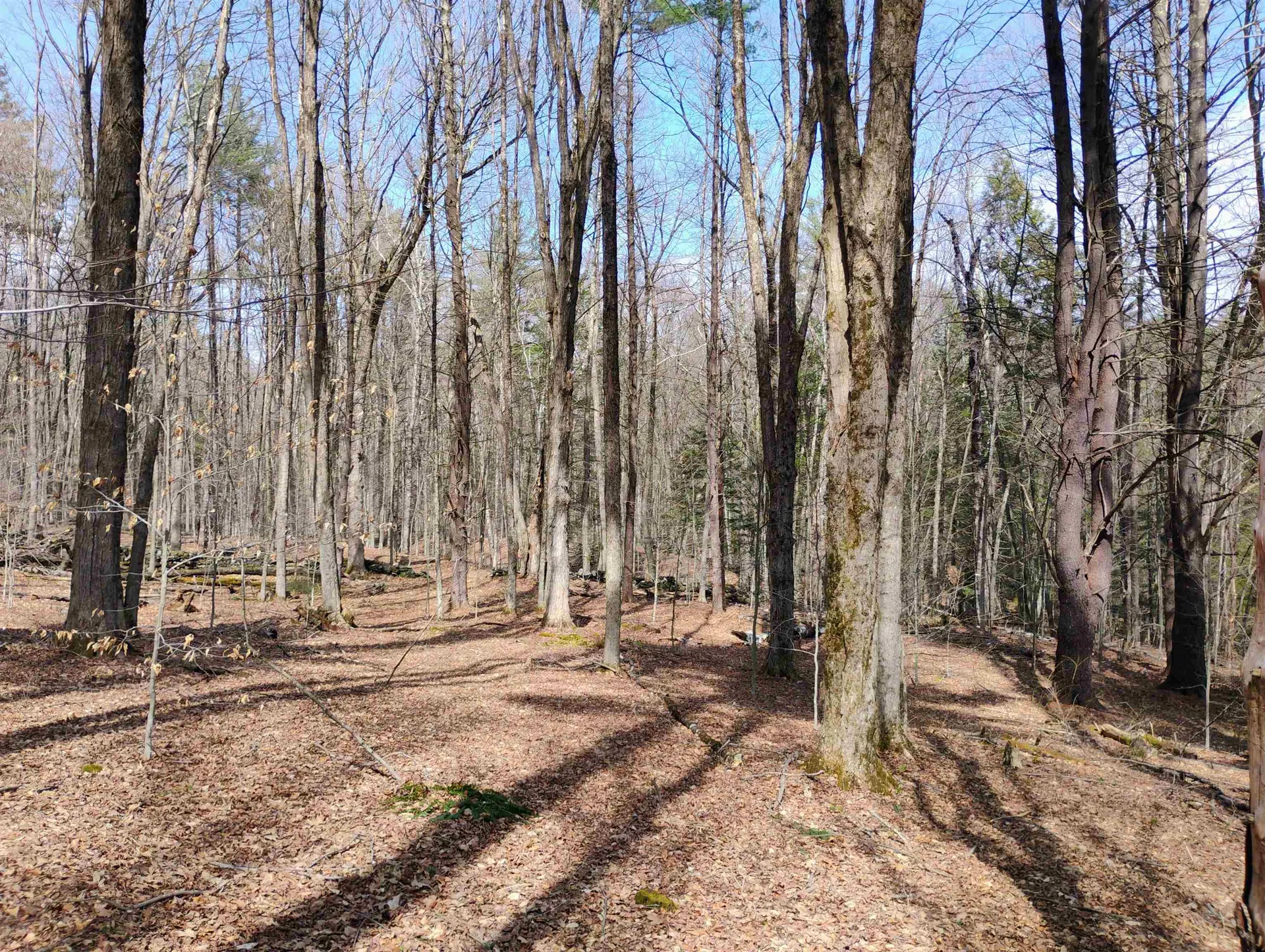 Lot 1 Faraway (Jones) Road Putney VT 05346