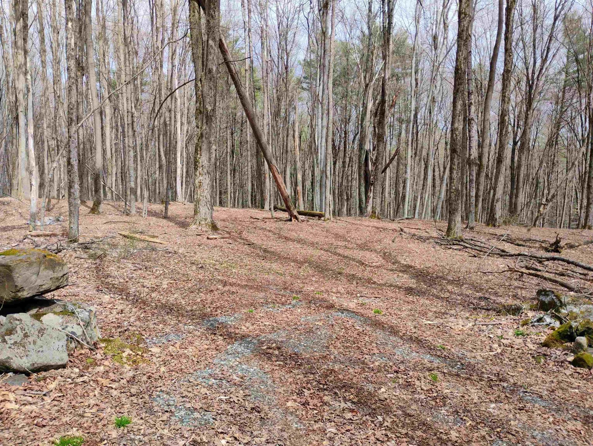 Lot 1 Faraway (Jones) Road Putney VT 05346