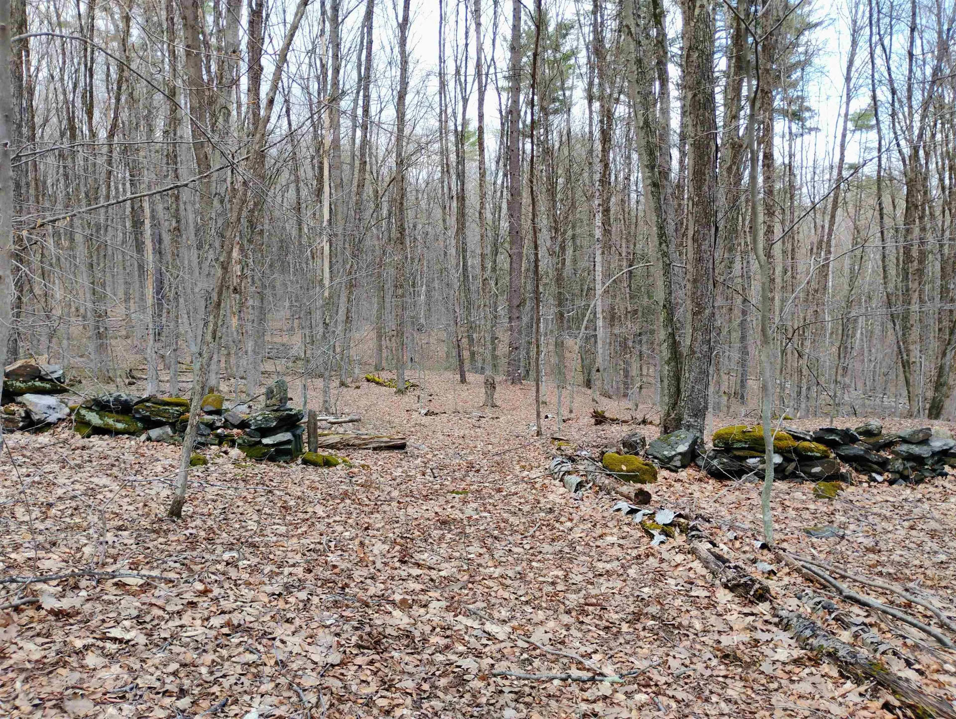 Lot 1 Faraway (Jones) Road Putney VT 05346