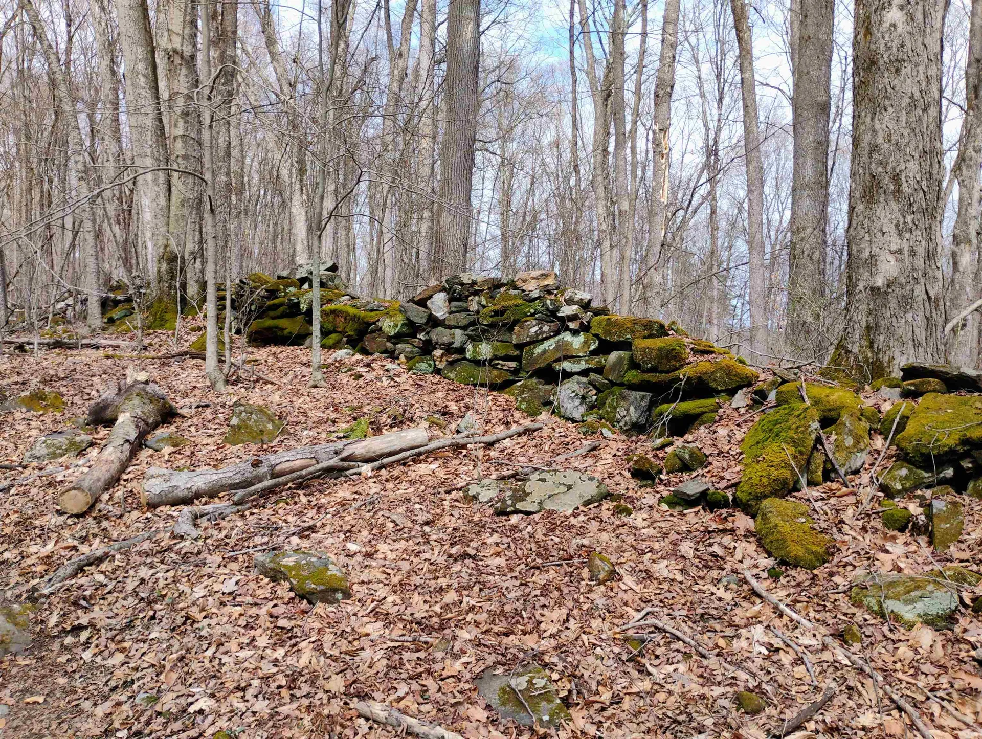 Lot 1 Faraway (Jones) Road Putney VT 05346