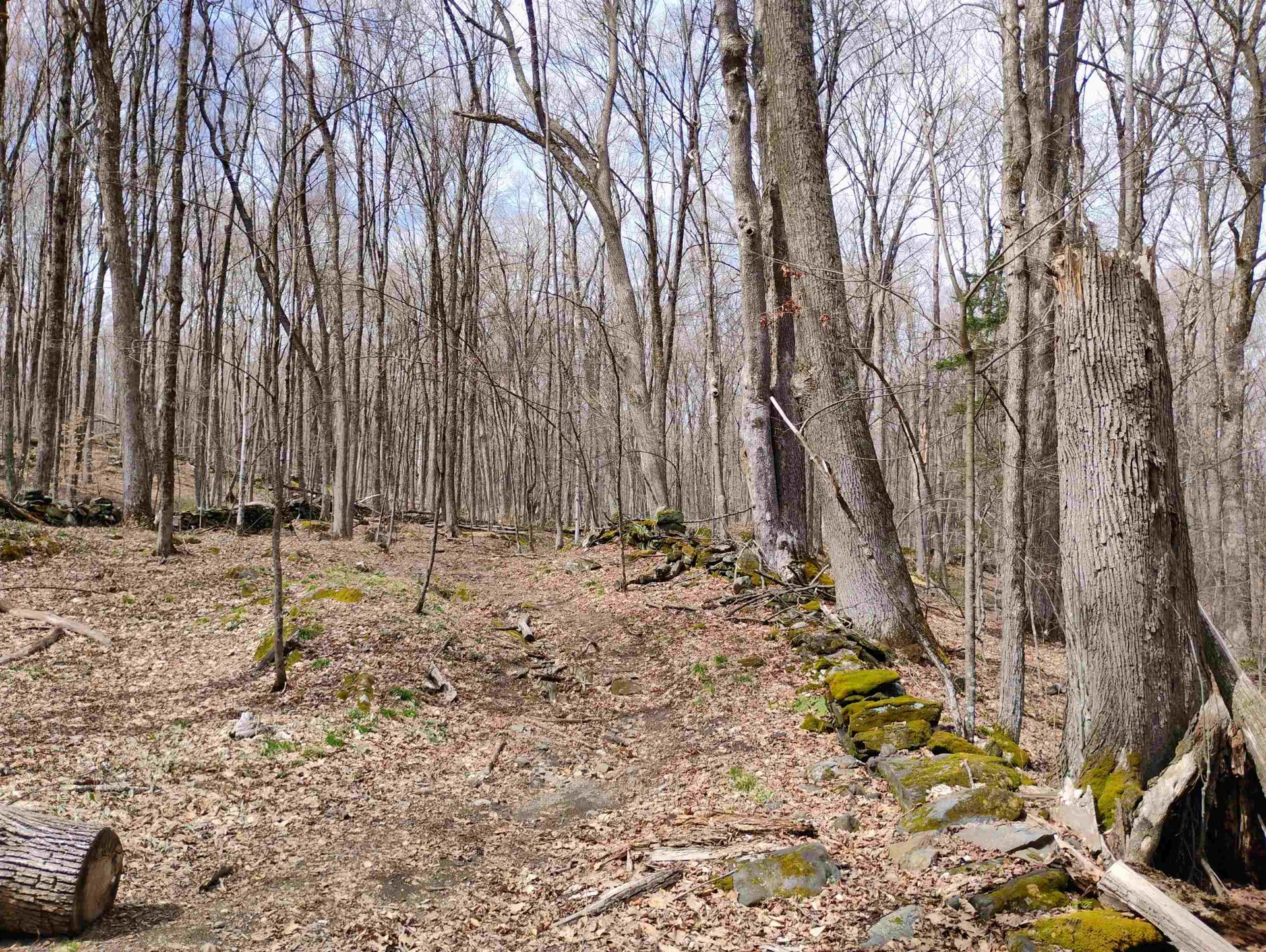 Lot 1 Faraway (Jones) Road Putney VT 05346