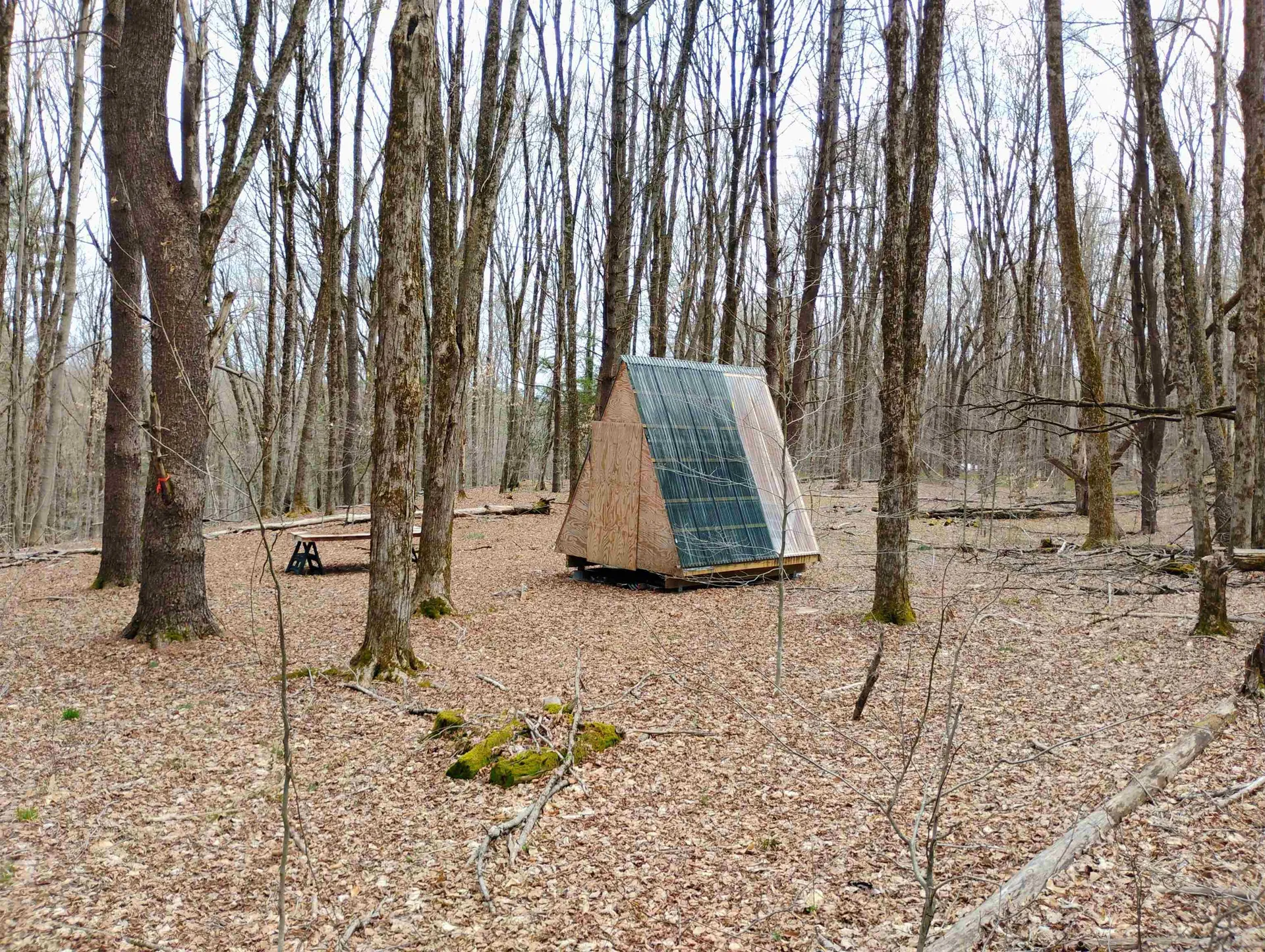 Lot 1 Faraway (Jones) Road Putney VT 05346