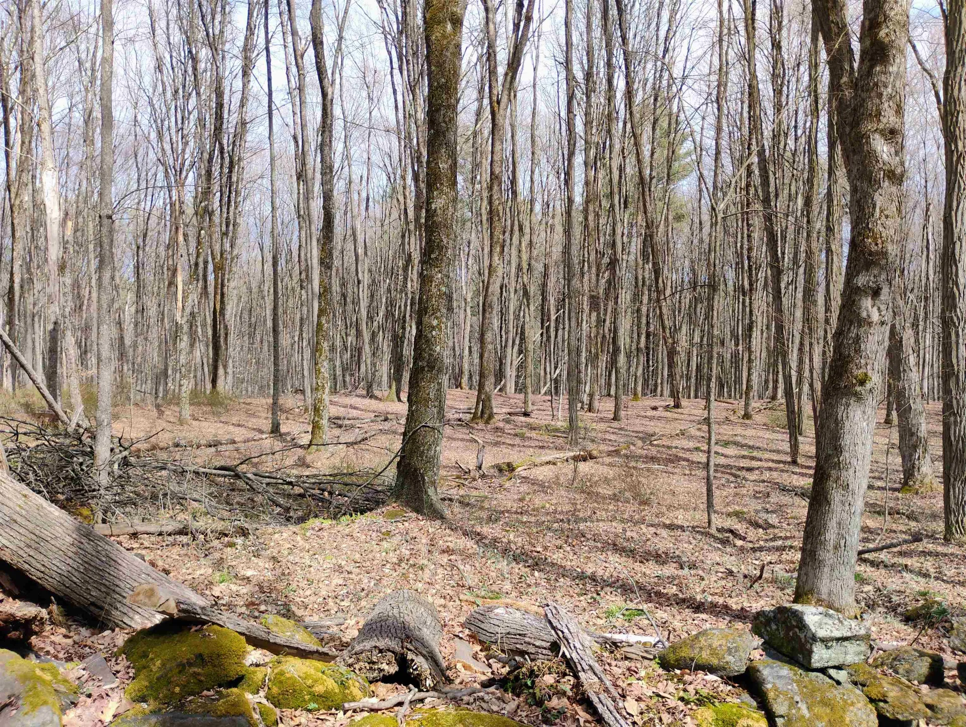 Lot 1 Faraway (Jones) Road Putney VT 05346