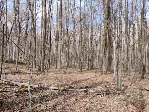 Lot 1 Faraway (Jones) Road Putney VT 05346