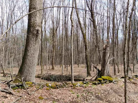 Lot 1 Faraway (Jones) Road Putney VT 05346