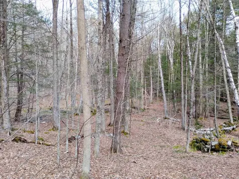Lot 1 Faraway (Jones) Road Putney VT 05346