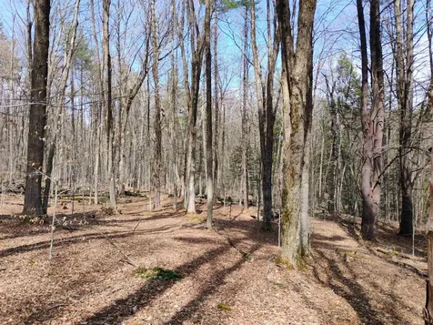 Lot 1 Faraway (Jones) Road Putney VT 05346