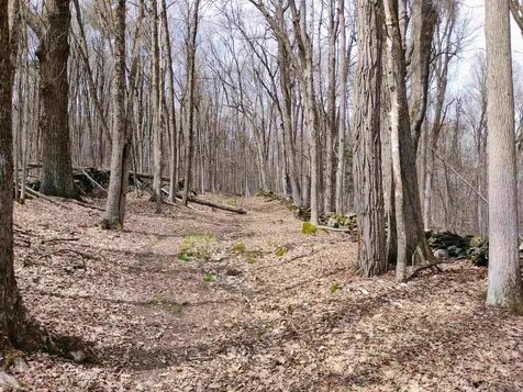 Lot 1 Faraway (Jones) Road Putney VT 05346