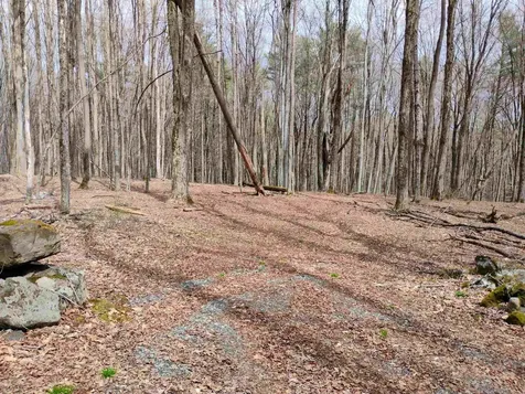 Lot 1 Faraway (Jones) Road Putney VT 05346