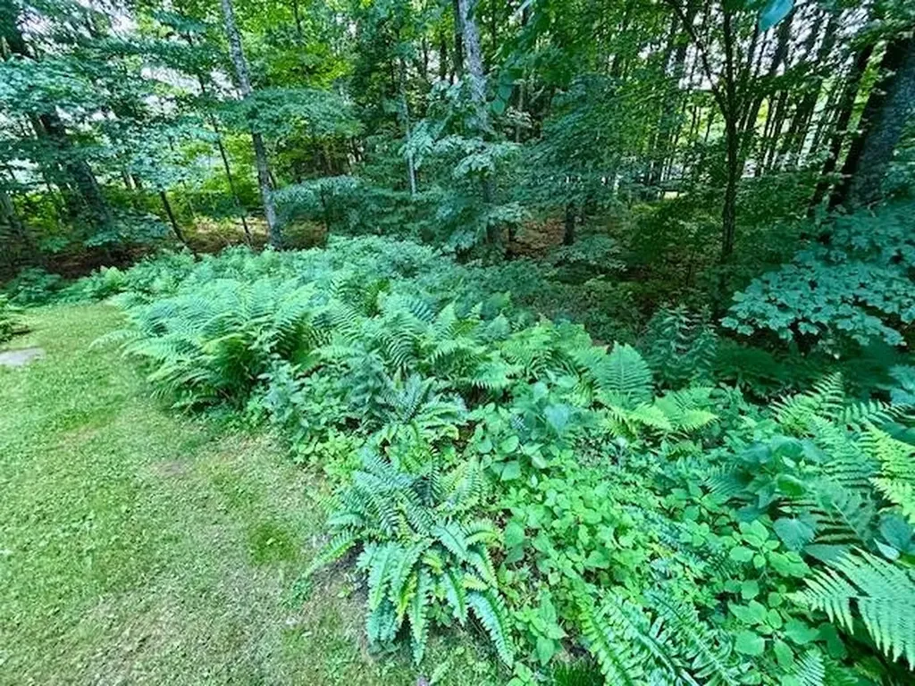 75 Ledgewood Drive Randolph VT 05060-0017