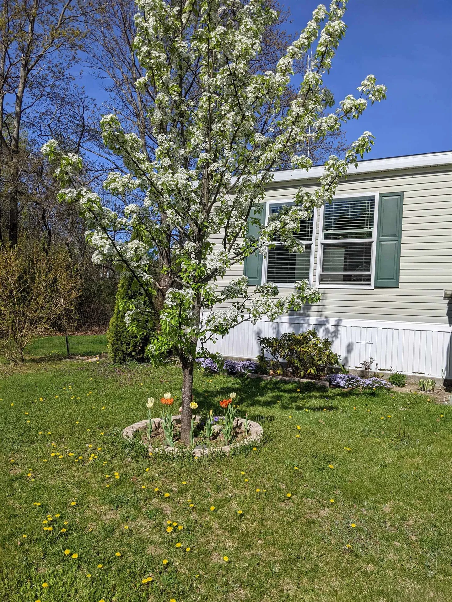 7 Lilac Lane Pittsfield NH 03263